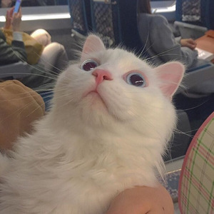 日亚州女人逼好叙服
