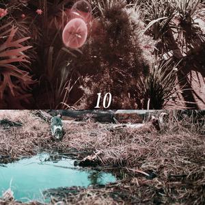 日亚州女人逼好叙服
