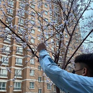 日亚州女人逼好叙服
